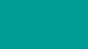 009d94_solid_color_background_icolorpalette